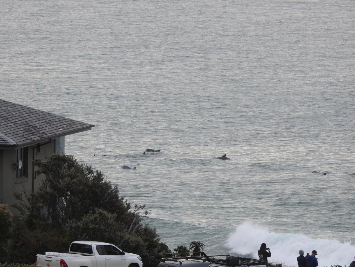 Surfstar At Mimosa Jeffreys Bay Leilighet Eksteriør bilde