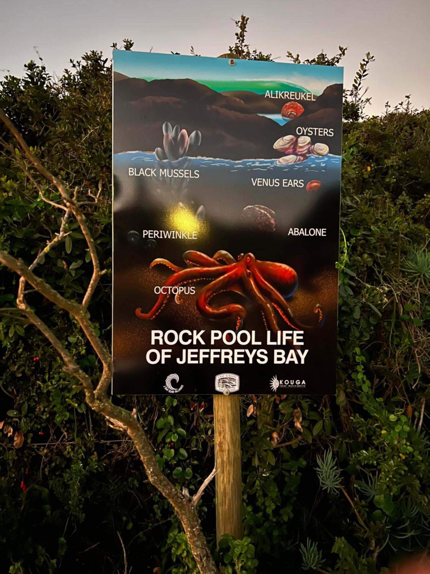 Surfstar At Mimosa Jeffreys Bay Leilighet Eksteriør bilde