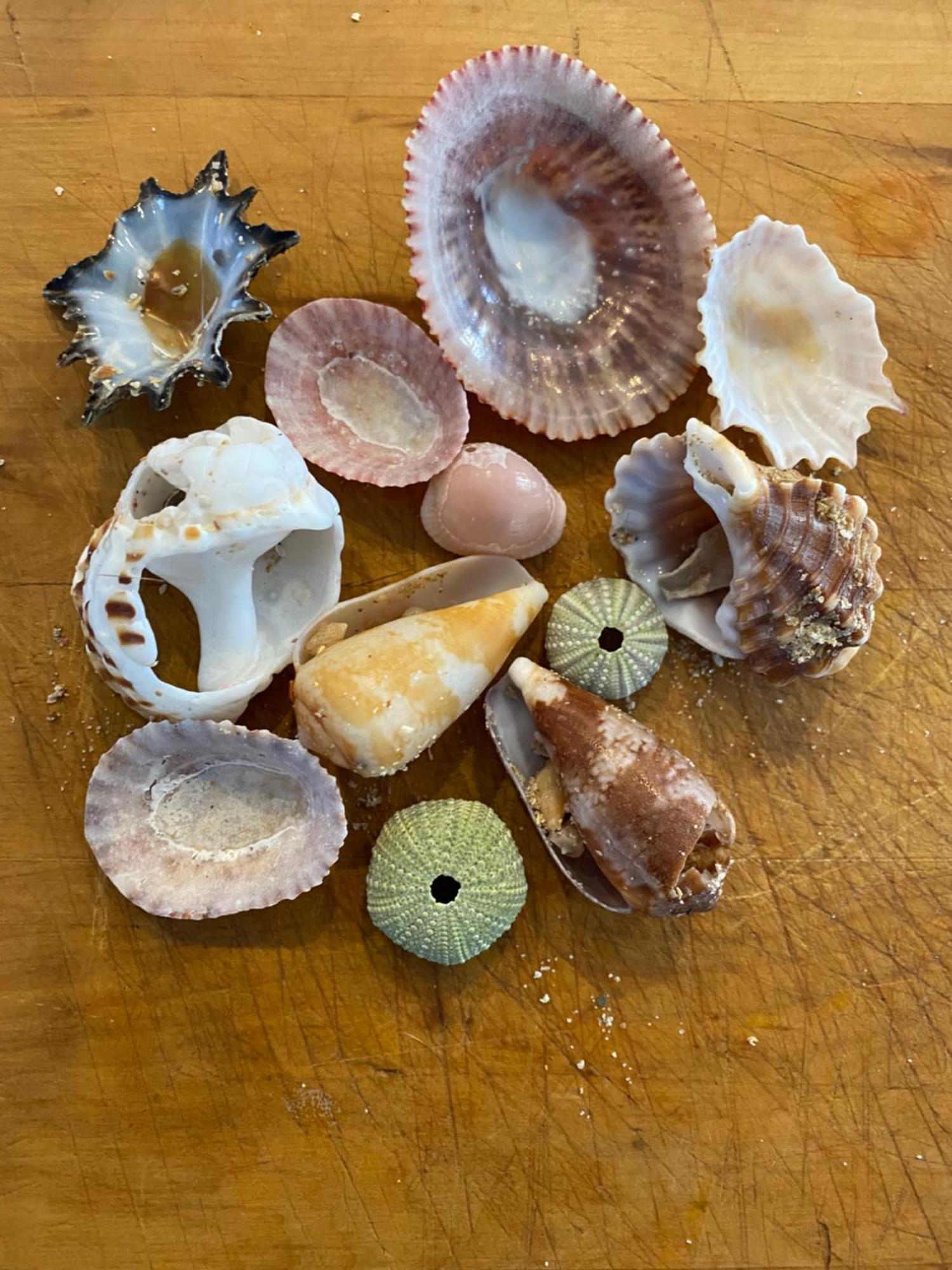 Surfstar At Mimosa Jeffreys Bay Leilighet Eksteriør bilde