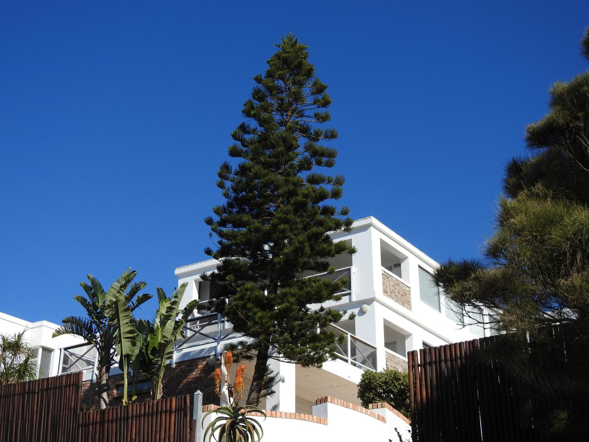 Surfstar At Mimosa Jeffreys Bay Leilighet Eksteriør bilde
